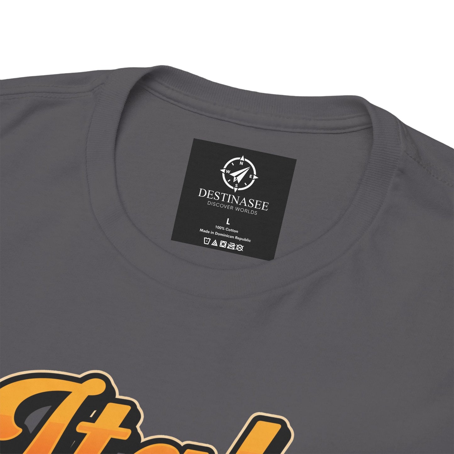 Charcoal crewneck tee close-up with “DESTINASSEE” neck label and partial graphic