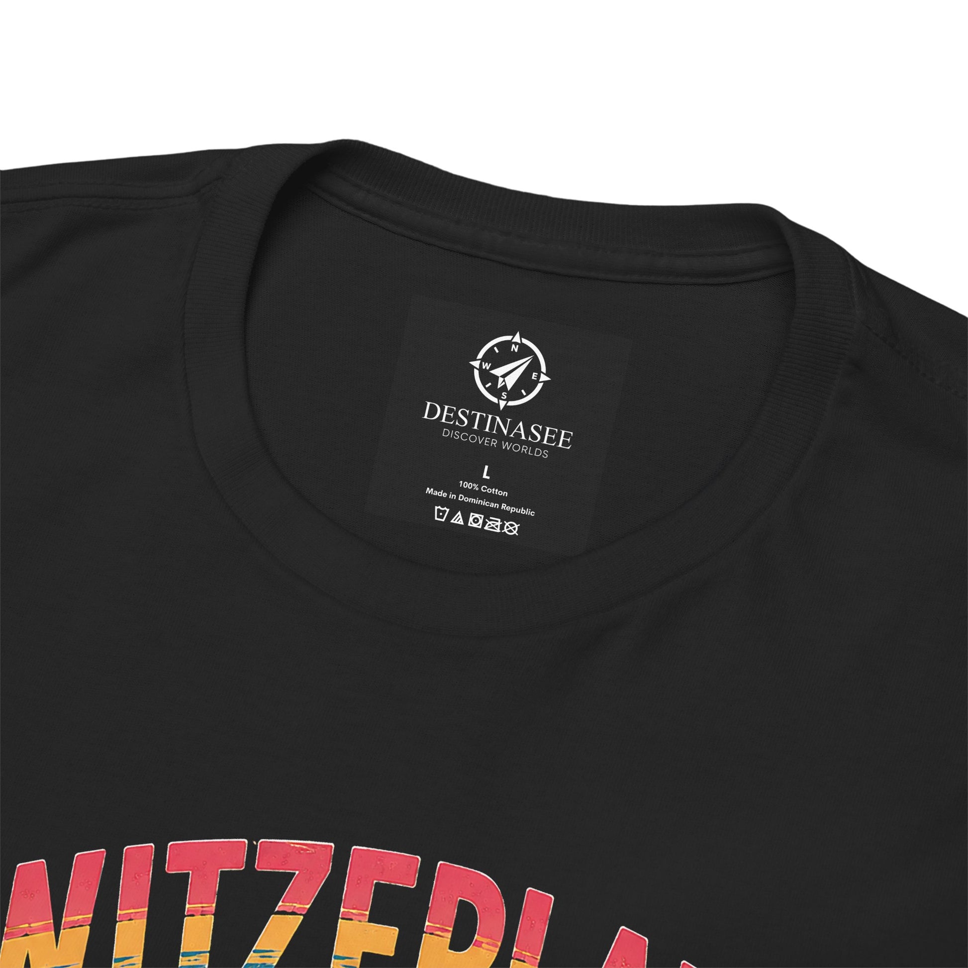 Black vintage t-shirt neckline close-up with Destinassee label and partial front text