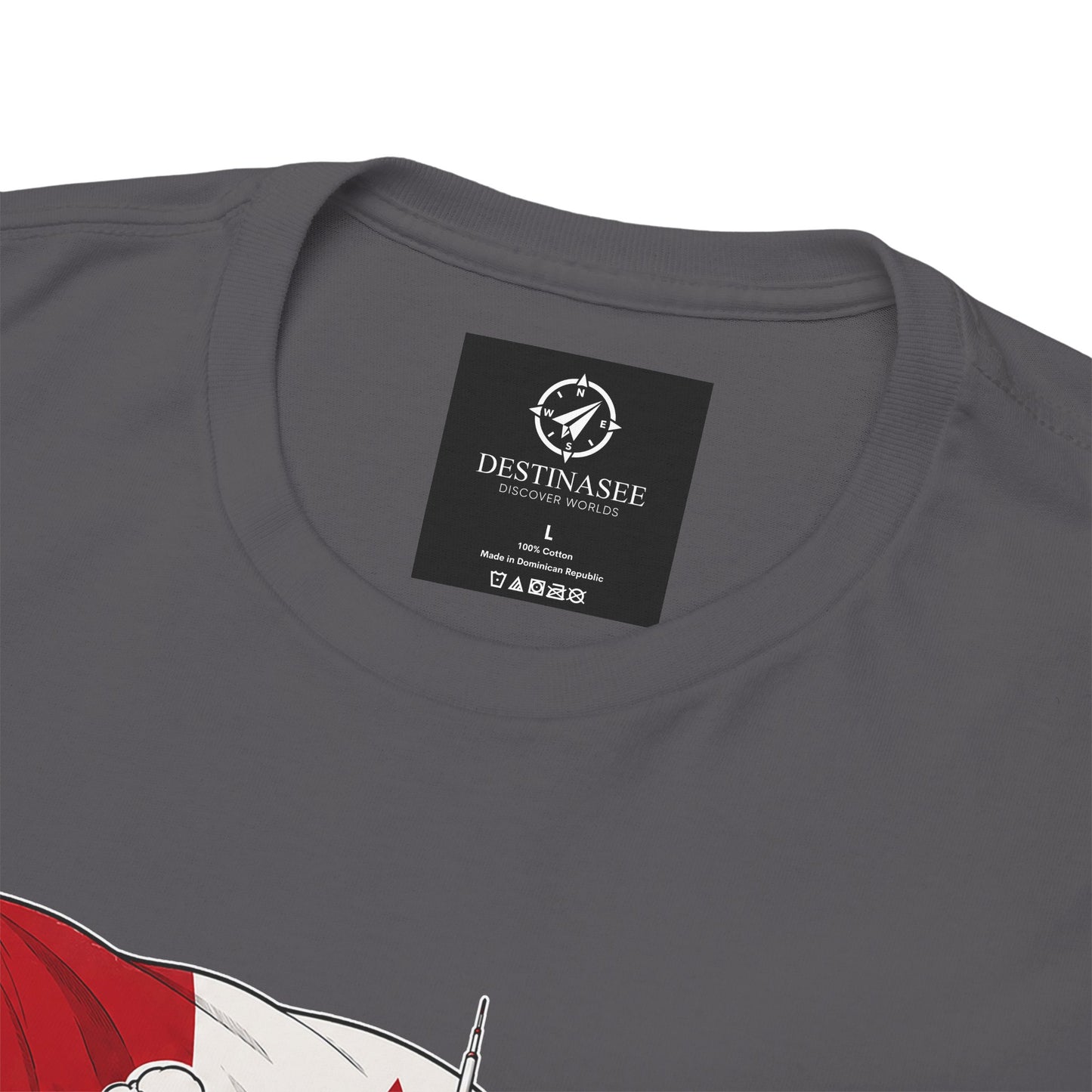 Charcoal crewneck t-shirt with “DESTINASEE” label at the back neck