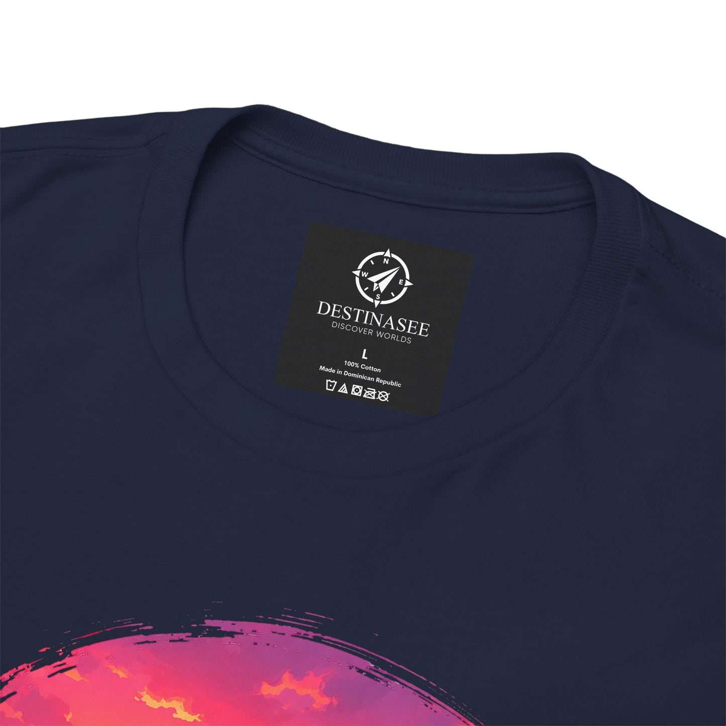 Navy T-shirt with round neck, chest graphic and small brand label