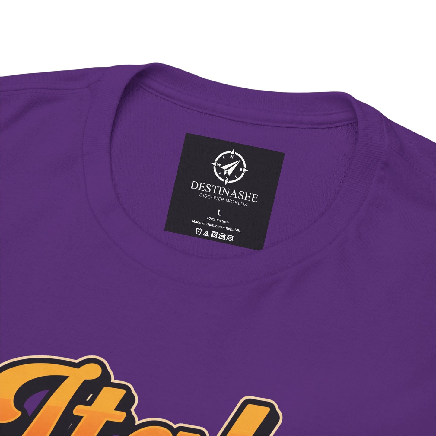Purple crew-neck T-shirt back neck label with 'DESTINASEE' and partial '17' print