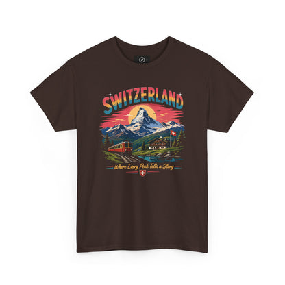 Dark brown Switzerland mountain graphic vintage t-shirt with colorful front print