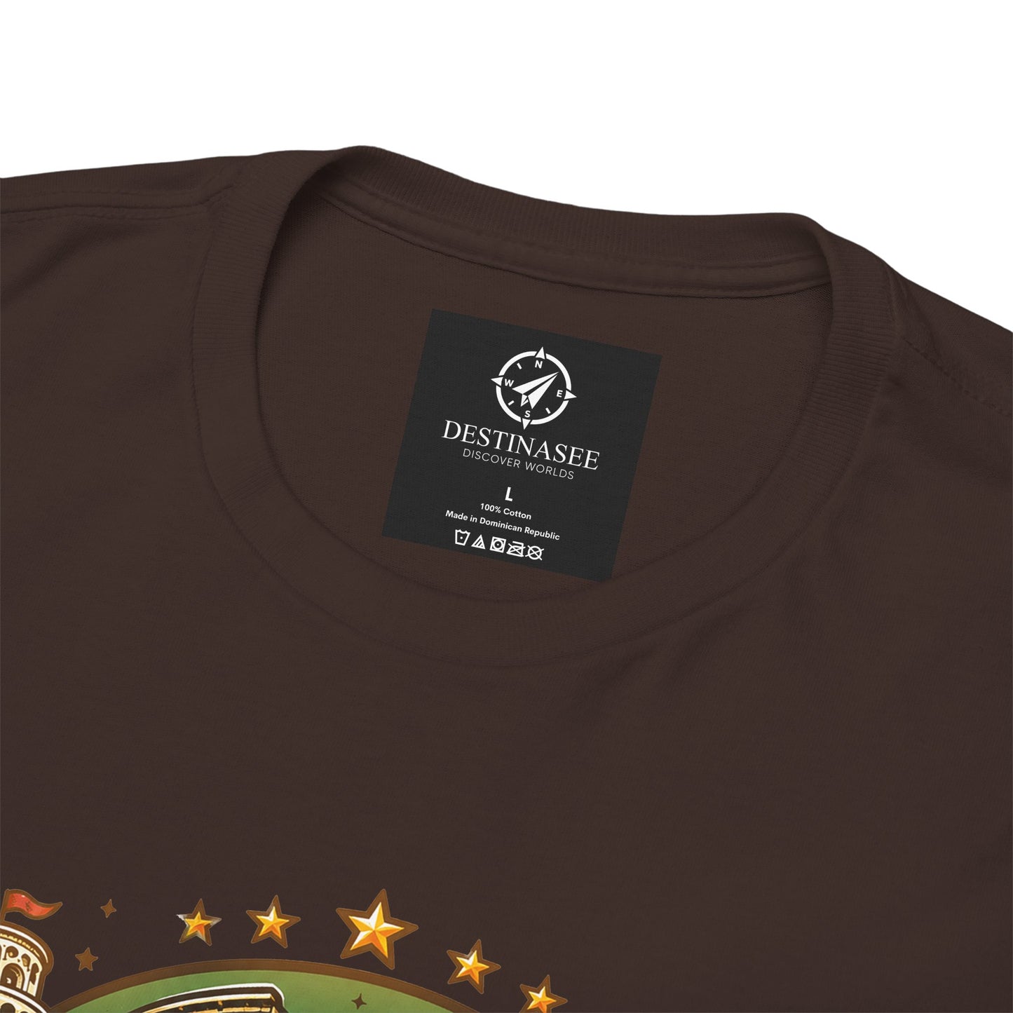 Dark brown vintage travel T-shirt with neck label and partial star-and-map graphic