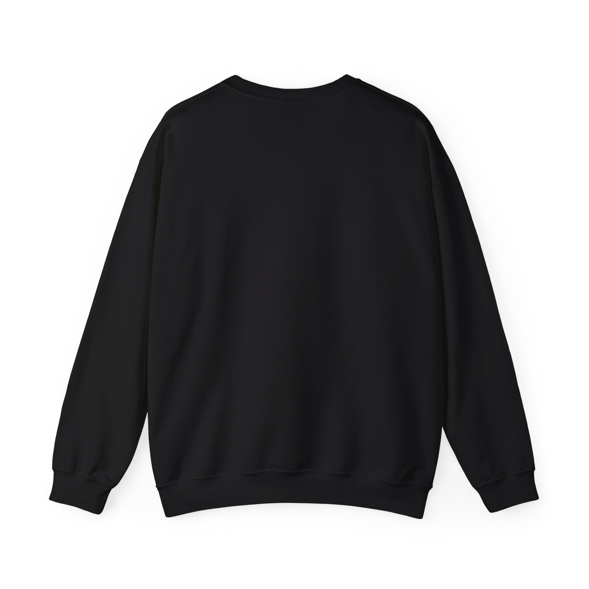 Black crewneck sweatshirt back view with plain unprinted surface