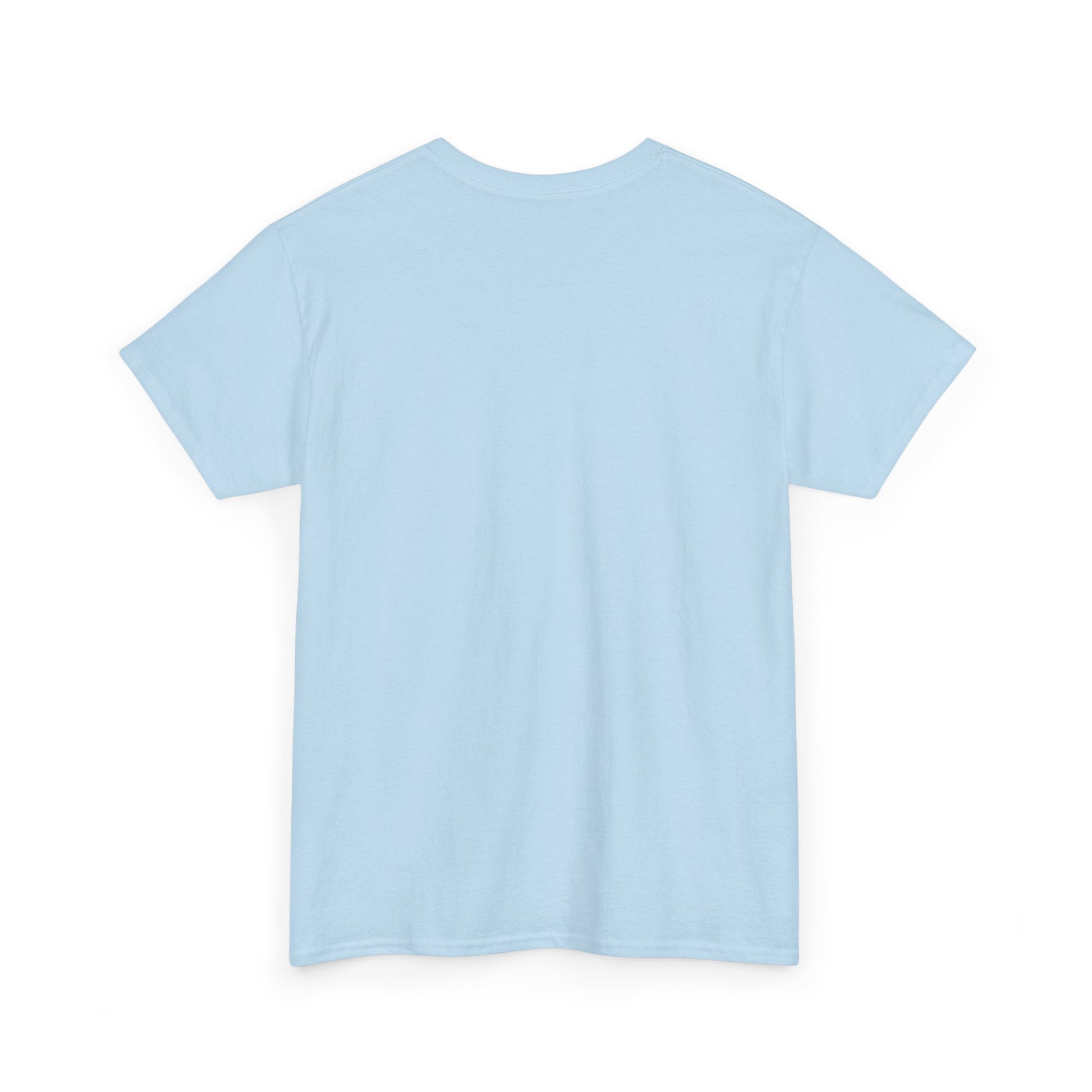 Light blue crewneck T-shirt with no visible front graphic