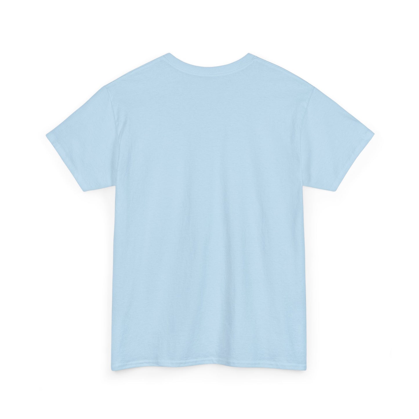 Light blue graphic tee, plain back view