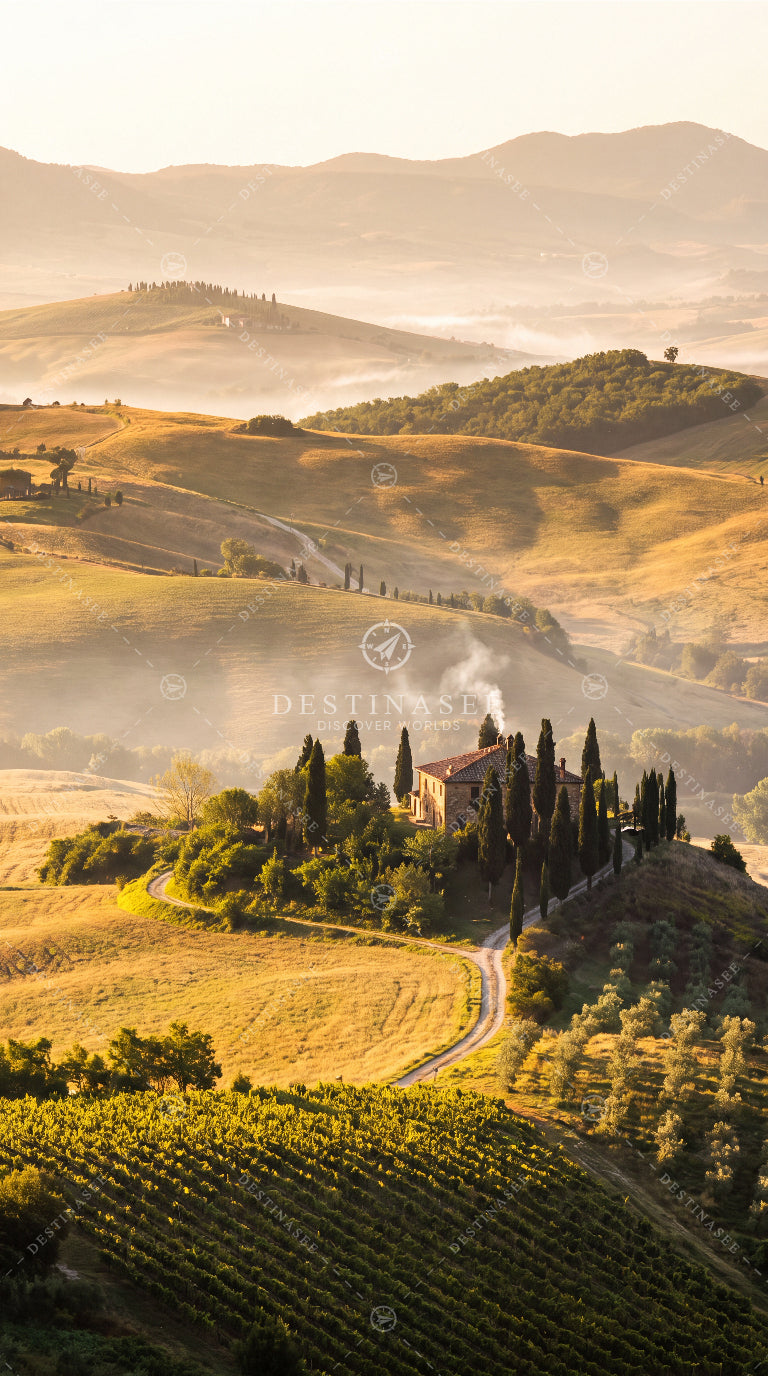 Rolling hills countryside mobile wallpaper with vineyards, winding road, and cypress trees
